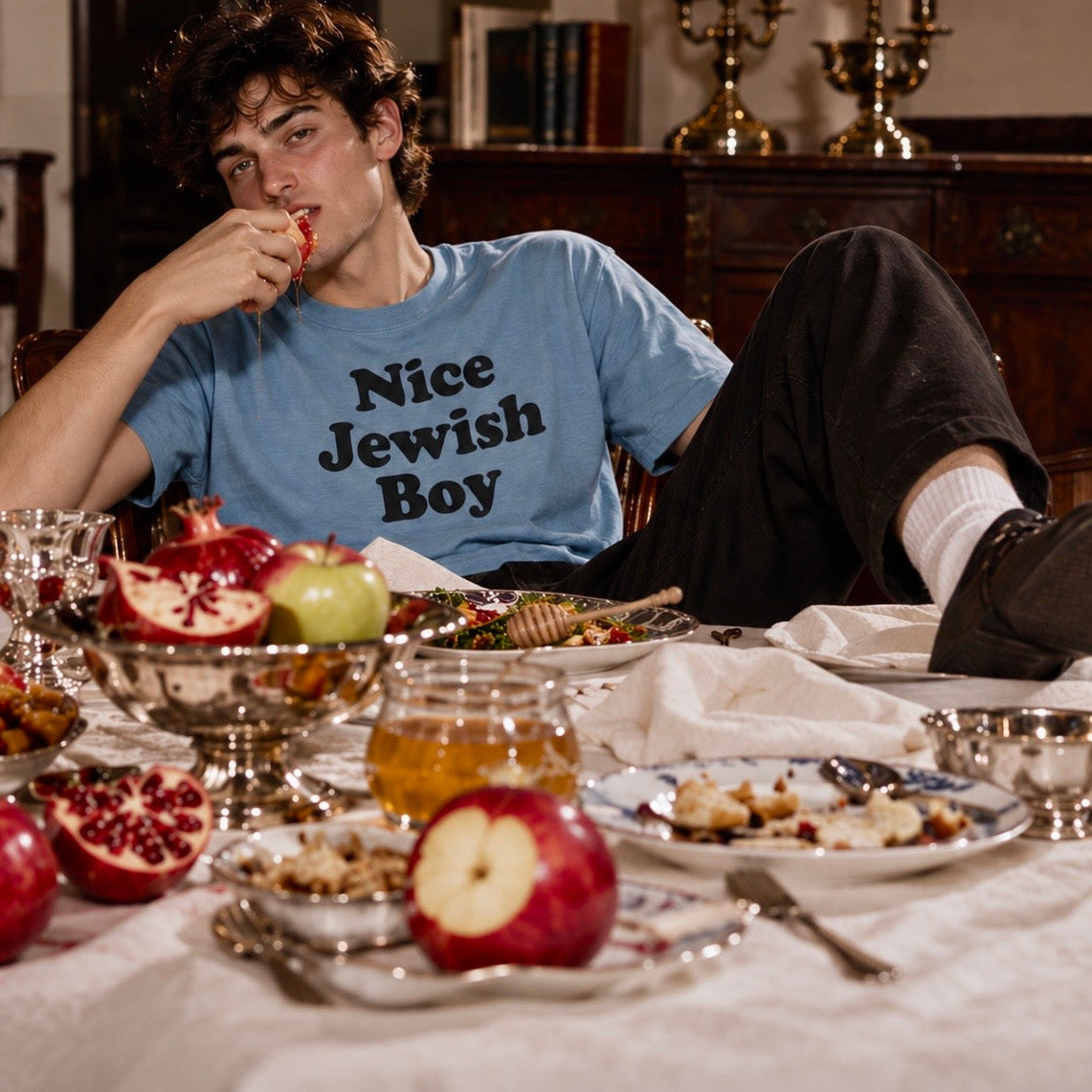 NICE JEWISH BOY TEE HOLYLAND CIVILIANS IL