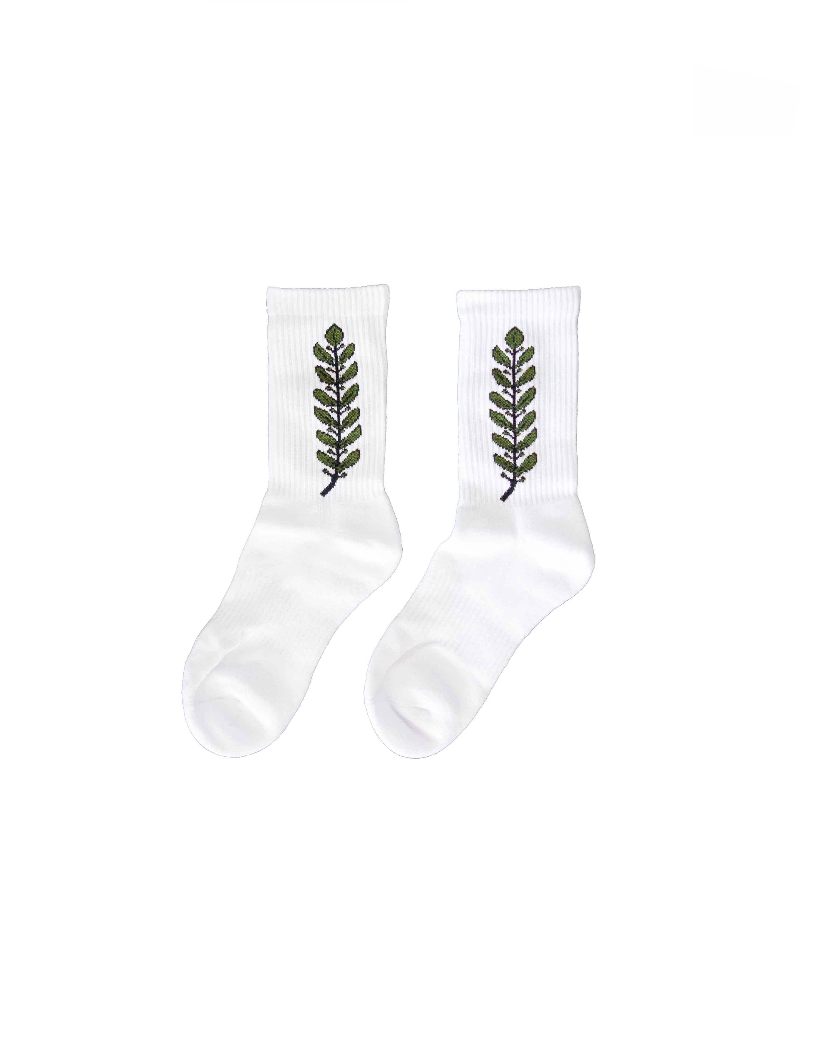 PARIS TRIUMPH COTTON SOCKS HOLYLAND CIVILIANS IL